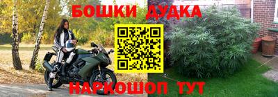 apvp Лесосибирск